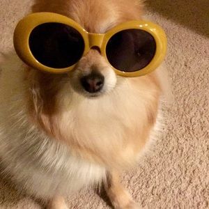 Meet your Posher, Marisela